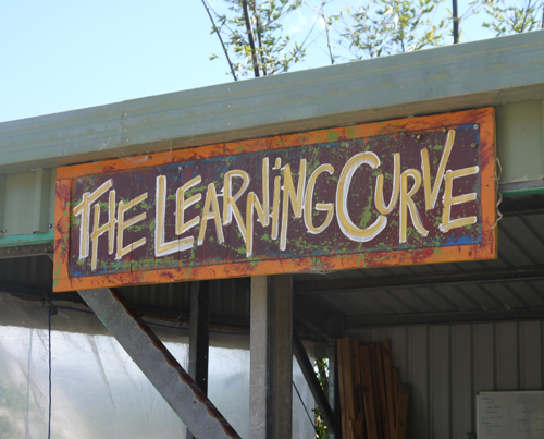 The Learning Curve